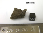 Lab Photo of Sample DOM 18678 Displaying West Orientation