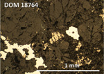 Thin Section Photo of Sample DOM 18764,2 at 5x magnification in Reflected Light