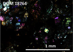 Thin Section Photo of Sample DOM 18764,2 at 5x magnification in Cross Polarized Light
