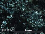 Thin Section Photo of Sample EET 16029 in Plane-Polarized Light with 5X Magnification