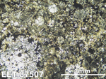 Thin Section Photo of Sample EET 87507 in Plane-Polarized Light
