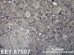 Thin Section Photo of Sample EET 87507 in Reflected Light