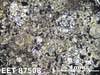 Thin Section Photograph of Sample EET 87508 in Plane-Polarized Light