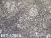Thin Section Photograph of Sample EET 87508 in Reflected Light