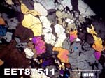 Thin Section Photograph of Sample EET 87511 in Cross-Polarized Light