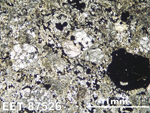 Thin Section Photo of Sample EET 87526 in Plane-Polarized Light