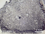 Thin Section Photo of Sample EET 90001 in Reflected Light with  Magnification