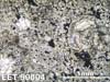 Thin Section Photograph of Sample EET 90004 in Plane-Polarized Light