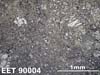 Thin Section Photograph of Sample EET 90004 in Reflected Light