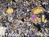 Thin Section Photograph of Sample EET 90004 in Cross-Polarized Light