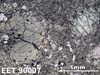 Thin Section Photograph of Sample EET 90007 in Reflected Light