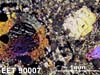 Thin Section Photograph of Sample EET 90007 in Cross-Polarized Light