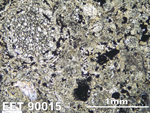 Thin Section Photo of Sample EET 90015 in Plane-Polarized Light