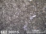 Thin Section Photo of Sample EET 90015 in Reflected Light