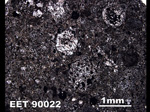 Thin Section Photograph of Sample EET 90022 in Plane-Polarized Light
