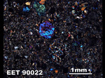 Thin Section Photograph of Sample EET 90022 in Cross-Polarized Light