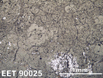 Thin Section Photo of Sample EET 90025 in Reflected Light