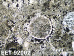 Thin Section Photo of Sample EET 92002 in Plane-Polarized Light