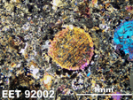 Thin Section Photo of Sample EET 92002 in Cross-Polarized Light