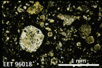 Thin Section Photo of Sample EET 96018 in Plane Polarized Light