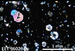 Thin Section Photo of Sample EET 96029 in Cross-Polarized Light with 2.5X Magnification