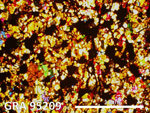 Thin Section Photograph of Sample GRA 95209 in Cross-Polarized Light