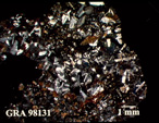 Thin Section Photo of Sample GRA 98131 in Cross-Polarized Light with 1.25X Magnification