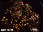 Thin Section Photo of Sample GRA 98171 in Cross-Polarized Light with 1.25X Magnification