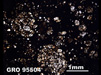 Thin Section Photograph of Sample GRO 95504 in Plane-Polarized Light