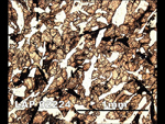 Thin Section Photograph of Sample LAP 02224 in Plane-Polarized Light