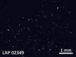 Thin Section Photo of Sample LAP 02349 in Cross-Polarized Light with  Magnification