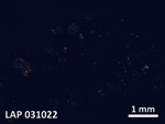 Thin Section Photo of Sample LAP 031022 in Cross-Polarized Light with  Magnification