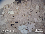 Thin Section Photo of Sample LAP 03719 in Plane-Polarized Light with 1.25X Magnification