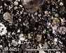 LAR 06252 Meteorite Thin Section Photo with 5x magnification in Plane-Polarized Light
