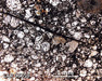LAR 06659 Meteorite Thin Section Photo with 2.5x magnification in Plane-Polarized Light