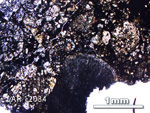 Thin Section Photo of Sample LAR 12034 in Plane-Polarized Light with 2.5X Magnification