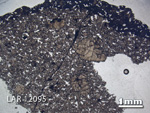 Thin Section Photograph of Sample LAR 12095 in Plane-Polarized Light