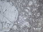 Thin Section Photograph of Sample LAR 12139 in Reflected Light