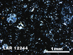 Thin Section Photo of Sample LAR 12244 in Cross-Polarized Light with 2.5X Magnification