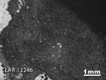 Thin Section Photograph of Sample LAR 12246 in Reflected Light