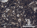 Thin Section Photograph of Sample LAR 12326 in Plane-Polarized Light