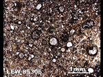 Thin Section Photo of Sample LEW 85306 in Plane-Polarized Light