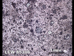 Thin Section Photo of Sample LEW 85306 in Reflected Light