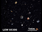 Thin Section Photograph of Sample LEW 85306 in Cross-Polarized Light