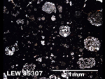 Thin Section Photo of Sample LEW 85307 in Plane-Polarized Light