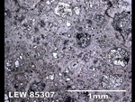 Thin Section Photo of Sample LEW 85307 in Reflected Light