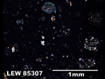 Thin Section Photo of Sample LEW 85307 in Cross-Polarized Light