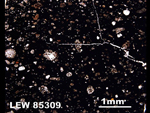 Thin Section Photograph of Sample LEW 85309 in Plane-Polarized Light
