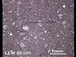 Thin Section Photo of Sample LEW 85309 in Reflected Light