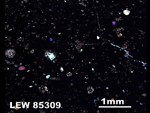 Thin Section Photo of Sample LEW 85309 in Cross-Polarized Light